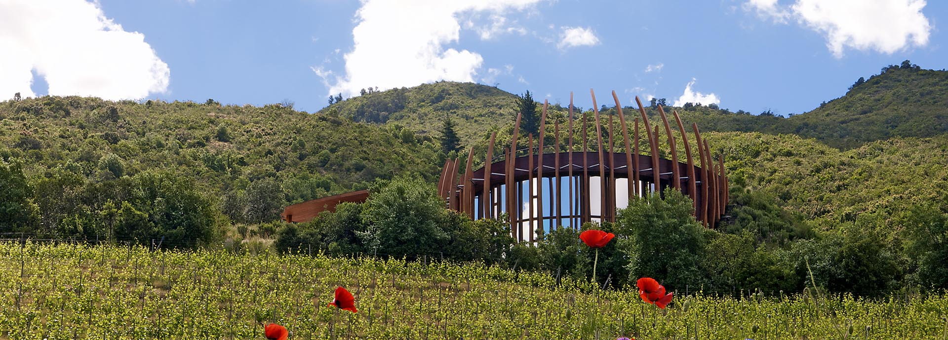 Clos Apalta Residence with its extraordinary architecture, gives panroamic views across Chile's wine region.