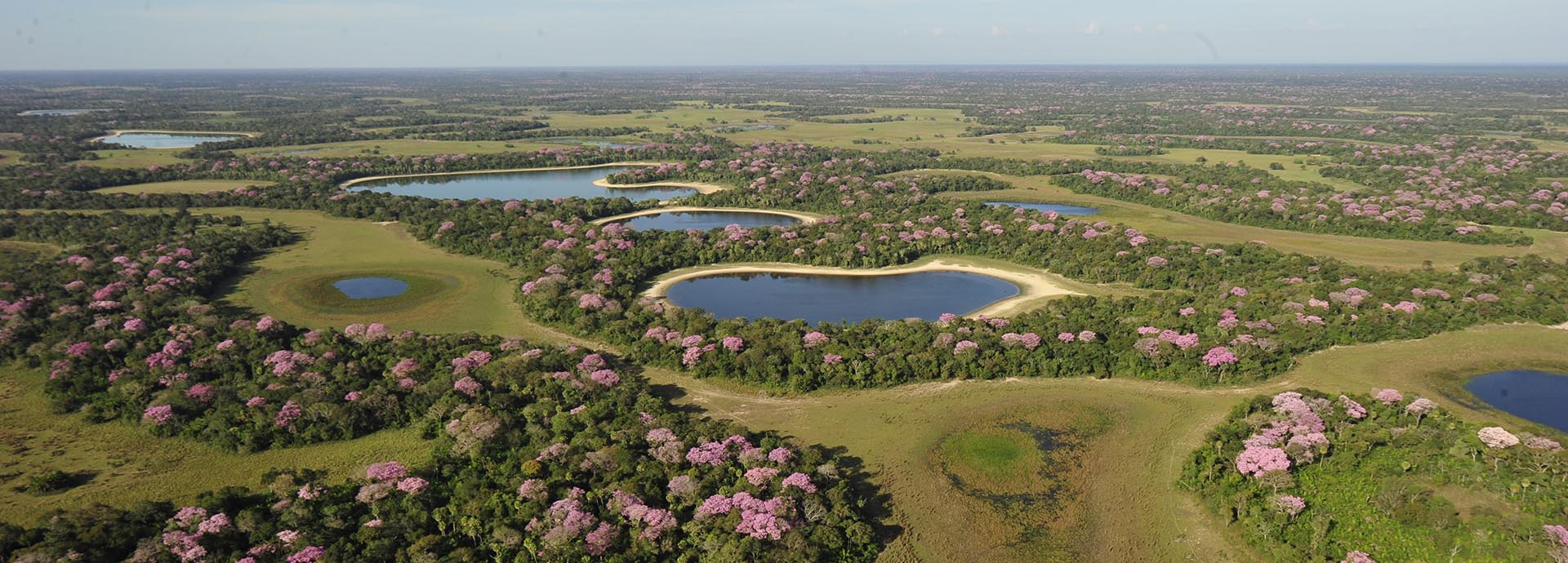 A myriad of places to search for wildlife when staying at Baiazinha Lodge