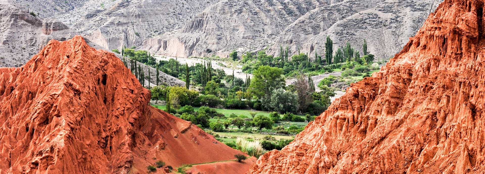 See striking contrasts between the green and earthy tones of the land in Salta when at Estancia el Bordo de las Lanzas