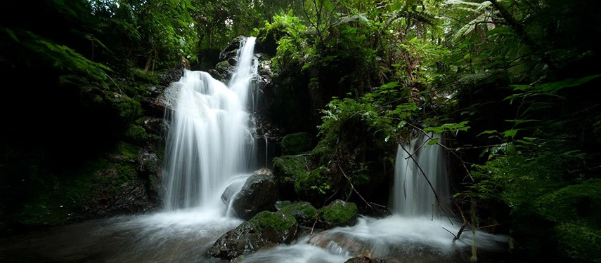 Lush forest waterfall cascading into mossy rocks near Buhoma Lodge