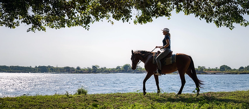 Horseback rider following the riverbank beneath dappled shade with the Zambezi shimmering beyond.
