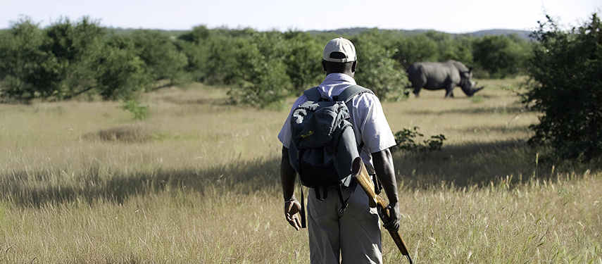An armed conservation safari guide watches a rhino in Namibia's Etosha National Park
