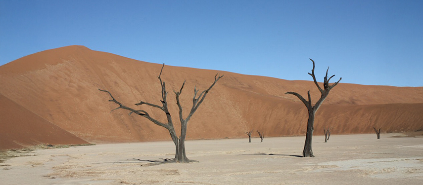 Deadvlei, Namibia