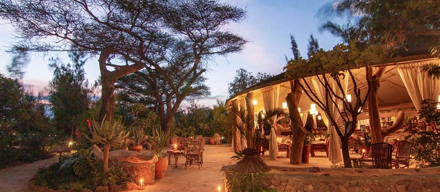 Open-air bar and lounge area at Karatu Simba Lodge, warmly lit beneath acacia trees during dusk in Tanzania.