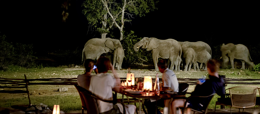 Tourists at a safari lodge watching elephants at night as they eat dinner