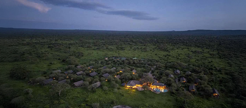 Aerial twilight view of Tarangire Simba Lodge surrounded by thick bushland in Tanzania, with lights glowing across the camp.