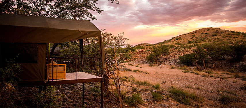 Luxury tent nestled secretively in a grove of mopane trees at Huab Under Canvas, Namibia