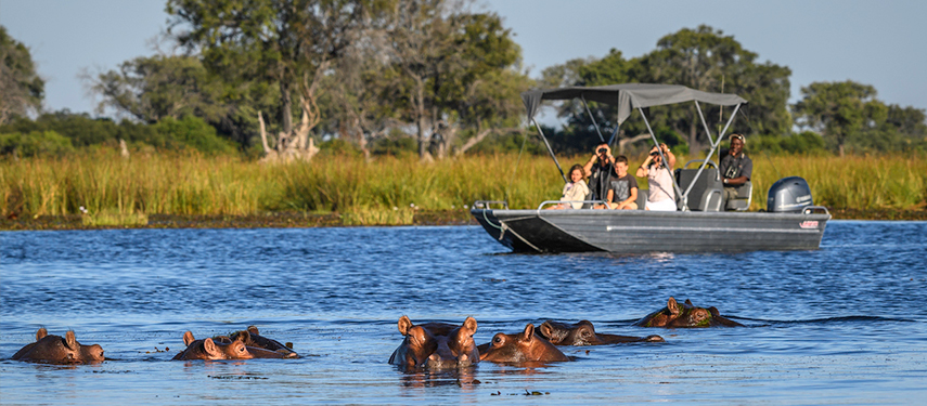 Get close to hippos on a boat rides in the Kwedi Concession at Little Vumbura