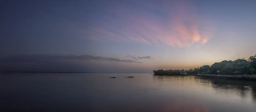 Tranquil dusk over Lake Victoria in Tanzania, with soft pink clouds reflecting on the water near a forested shoreline.