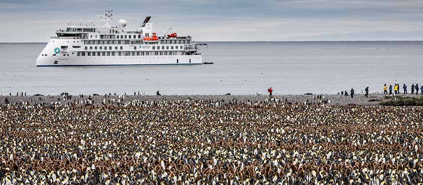 Tourists view an immense king penguin colony in Antarctica with their luxury expeditionary cruise ship in the background