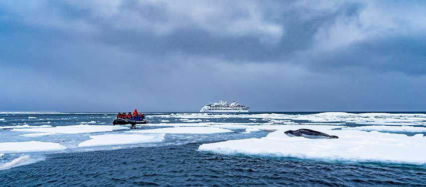 Passengers Zodiac Cruise Near Leopard Seal in Antarctica