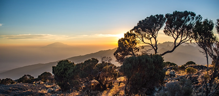 Distant view of Mount Kilimanjaro rising above a band of low-lying clouds under a twilight sky.