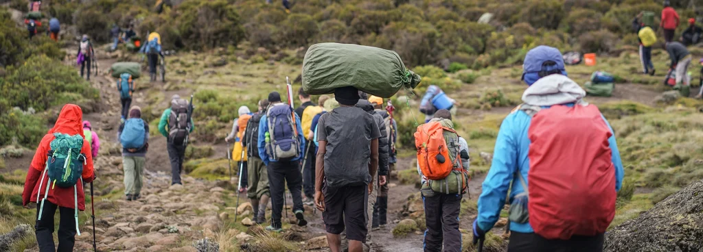 Group of trekkers and porters making their way up a rocky trail through the highland vegetation on Kilimanjaro.