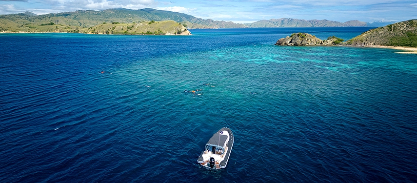 Guests snorkel over coral reefs teeming with fish, surrounded by deep blue water and verdant coastal cliffs.