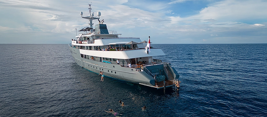 Travellers swim beside Aqua Blu, leaping from the yacht into the clear Indonesian sea beneath soft afternoon light.