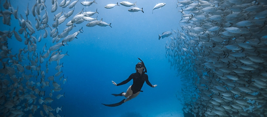 Freediver glides through a swirling school of silver fish, surrounded by the mesmerising blue depths of Raja Ampat.
