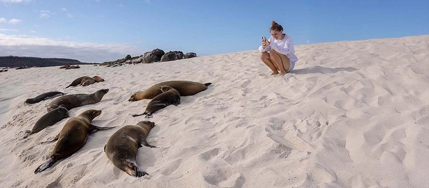A traveller crouches to photograph a colony of sea lions basking on a pale Galápagos beach beneath clear skies.
