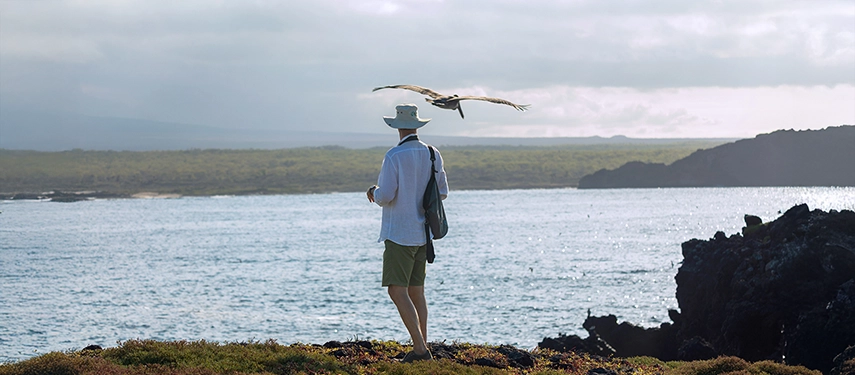 A traveller gazes over the ocean cliffs as a seabird glides past, the volcanic landscape of the Galápagos stretching beyond.