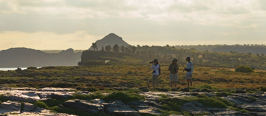 Travellers pause on a rocky headland under soft morning light, watching seabirds wheel above the untamed Galápagos coast.