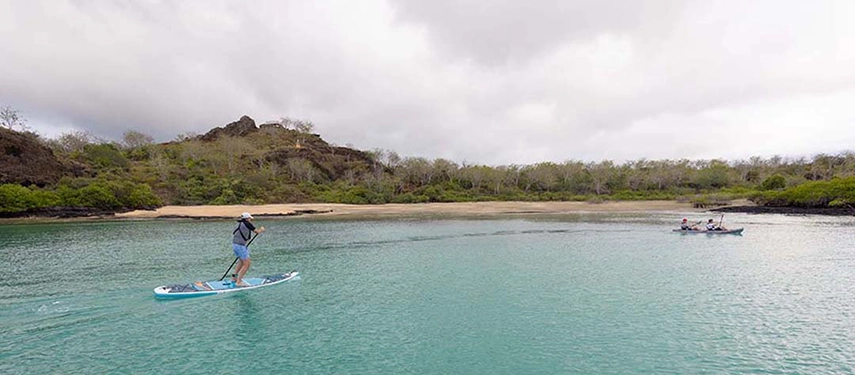 A paddleboarder glides across tranquil turquoise water while kayakers explore a sheltered Galápagos bay lined with mangroves.