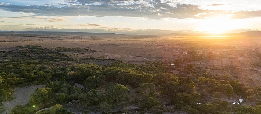 Sweeping aerial view of the Masai Mara landscape at sunset, with scattered trees and golden light illuminating the savannah.