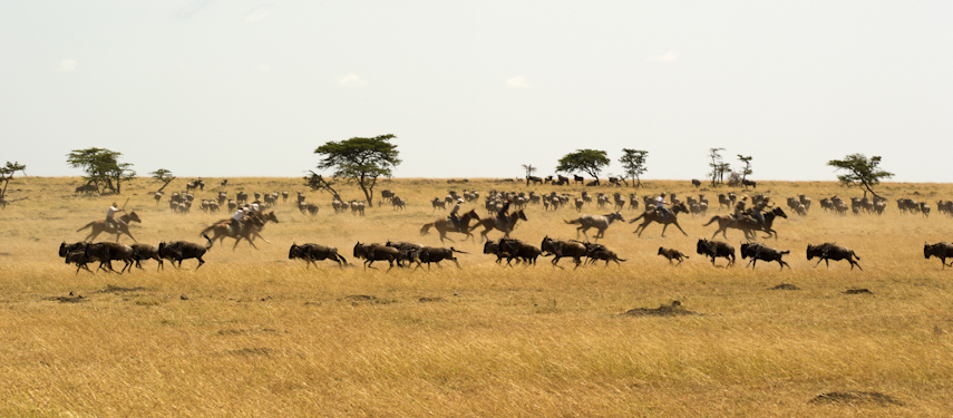 horse riding safari in Kenya's Masai Mara with Offbeat Safaris