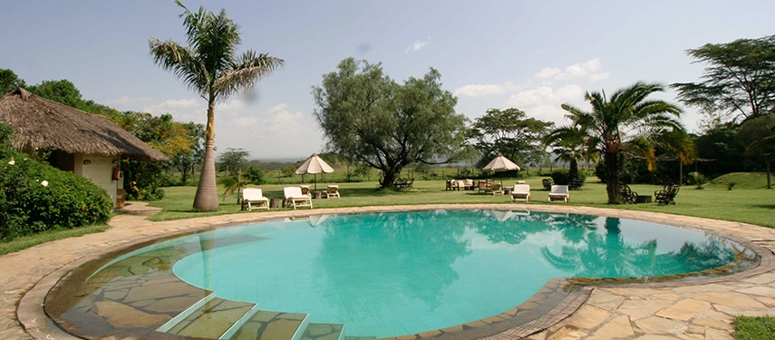 Curved swimming pool set in lush gardens with lounge chairs and parasols, offering relaxation at Basecamp Masai Mara against a scenic savannah backdrop.