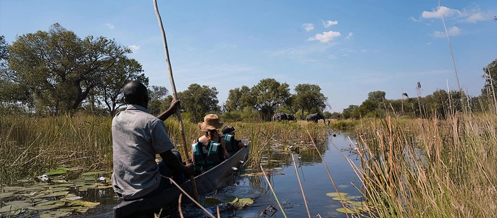 Mokoro canoe safari through reeds with elephants in the background