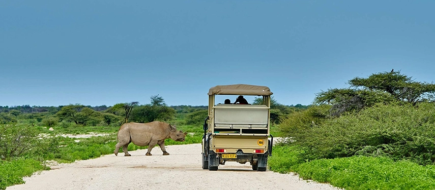 Safari vehicle waiting as a rhino crosses the road in Etosha