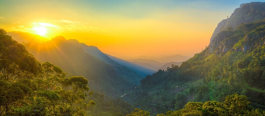 Golden sunrise over the misty green valleys and mountain slopes of Sri Lanka’s hill country.