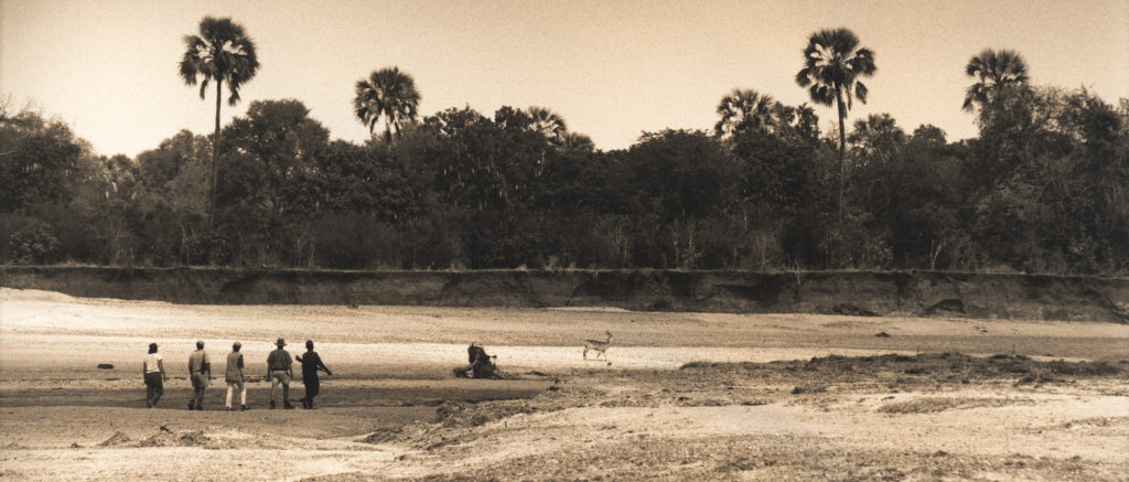 Game walk in the South Luangwa National Park in Zambia