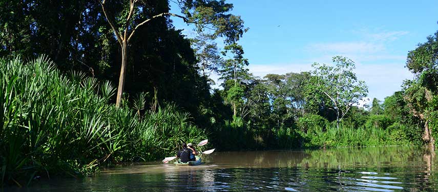 Explore the Ecuadorian Amazon by canoe when onboard the Anakonda cruise