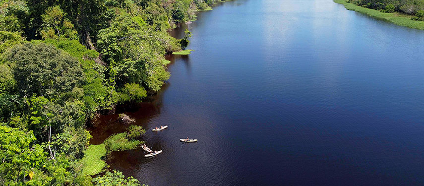 Aerial view of tourists kayaking on the Amazon River