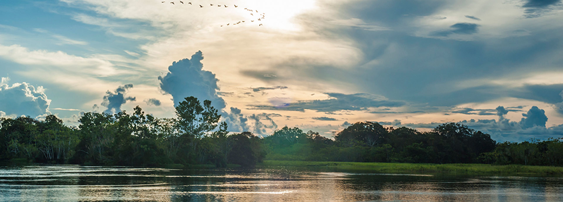 A sunset view across the Amazon River in Peru with a flock of birds in the sky