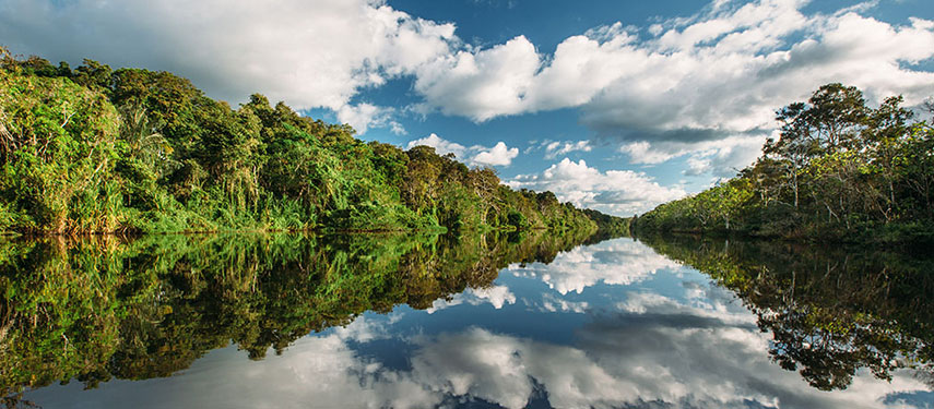 A stunning view of the Amazon River reflecting a blue sky and the surrounding forest