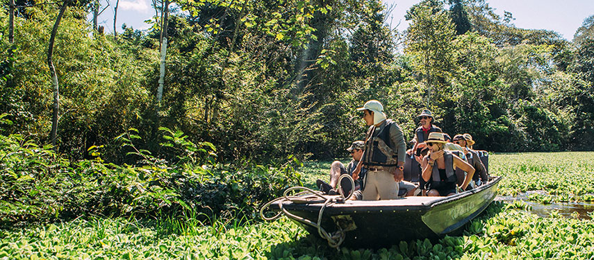 Group of tourists exploring the Amazon River and surrounding rainforest by boat