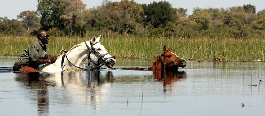 Swimming on a horse riding safari in Botswana's Okavango Delta