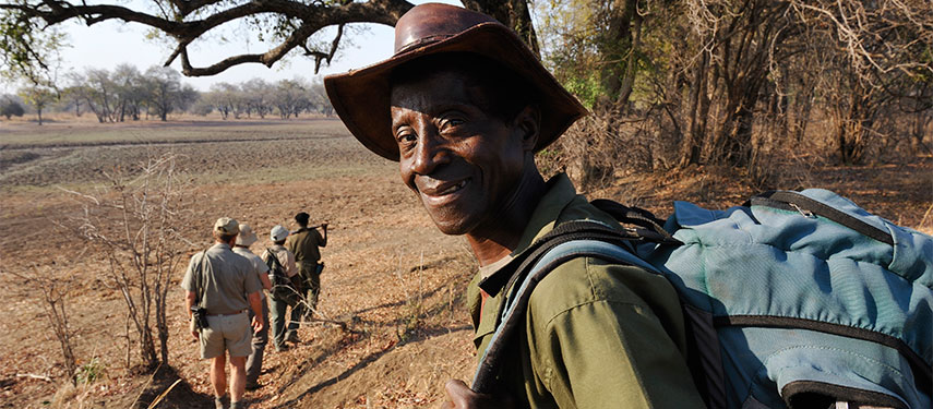 Zambia walking safari