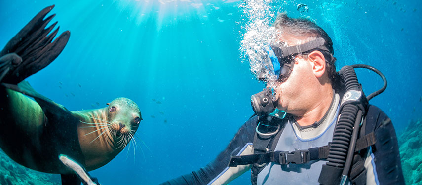 Galapagos Sky offers the best scuba diving live aboard options in the Galapagos
