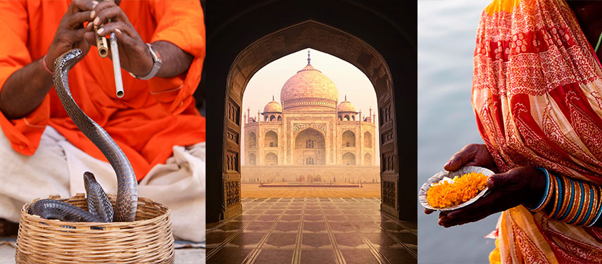 Visions of India - snake charming, the Taj Mahal and a woman in a marketplace