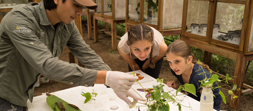 Learn about the flora and fauna during a stay at Mashpi Lodge