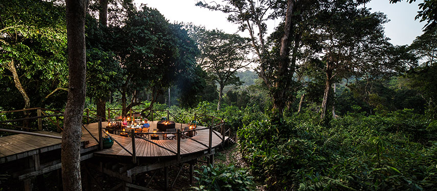 Look out towards the forest stream for Gorillas at Odzala Ngaga