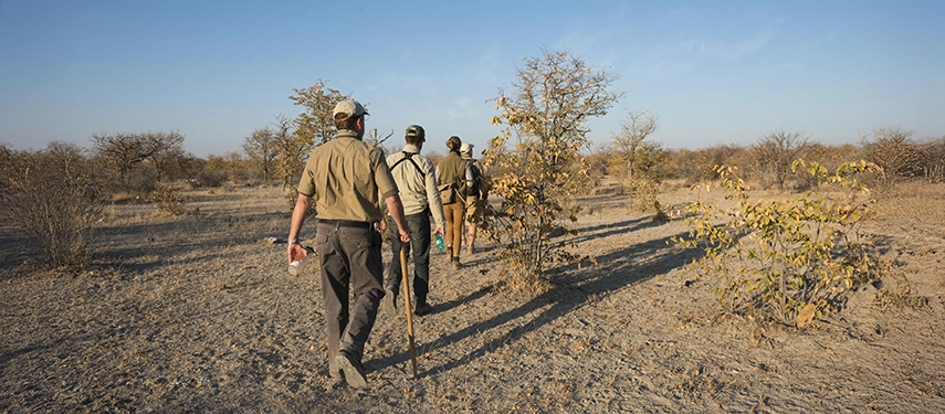 Guided bush walk through the Namibian wilderness with guests following a ranger along a sandy trail surrounded by sparse vegetation.