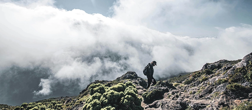 Lone hiker ascending through moody cloud forest on Kilimanjaro surrounded by thick mist and rugged terrain.
