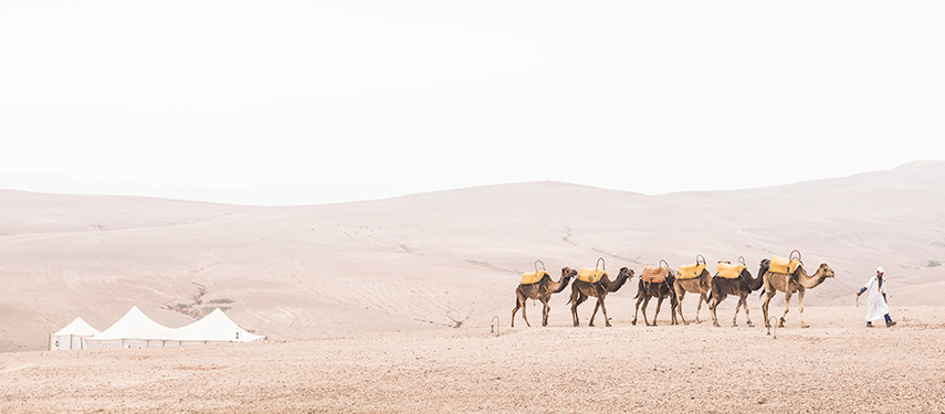 Admire the Agafay Desert on camel back at Scarabeo Desert Camp