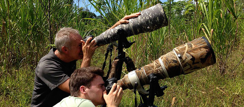 Amazon wildlife bird watching