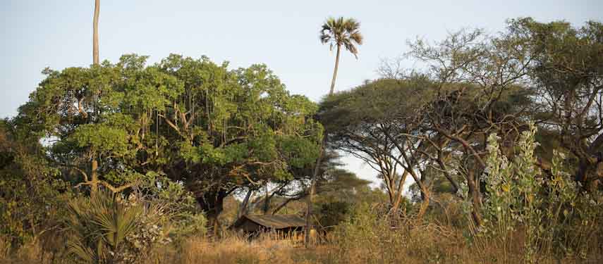 Chada Katavi blends in so well with its surrounds you have to look carefully to spot it