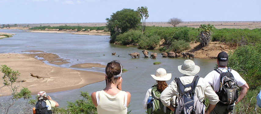 The great walk of Africa with Tropical Ice in Tsavo National Park