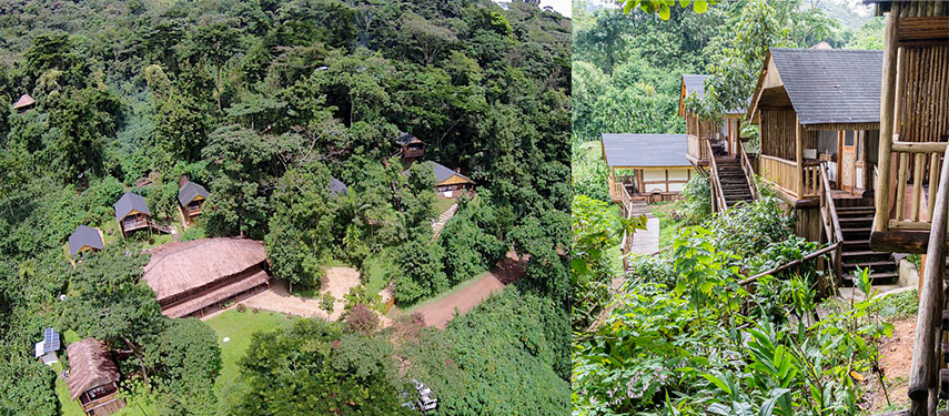 Buhoma Lodge, Bwindi Impenetrable Forest accommodation, Uganda. Base camp for a gorilla safari