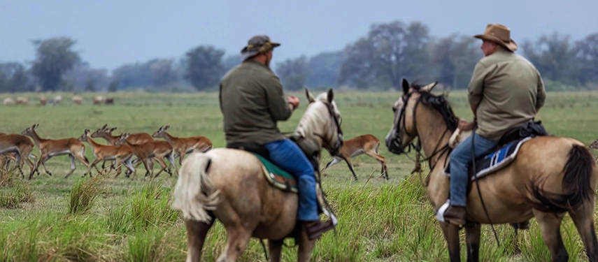 Two riders on horseback observing antelope grazing across the lush Zambian floodplains.